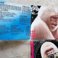 BASEMENT JAXX  / ОРИГИНАЛЕН диск, снимка 5 - CD дискове - 41520620