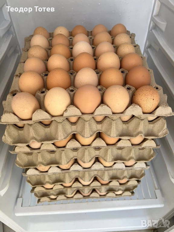 Домашни яйца, снимка 1