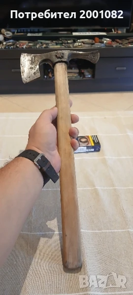 Киркобрадва Еделвайс, снимка 1