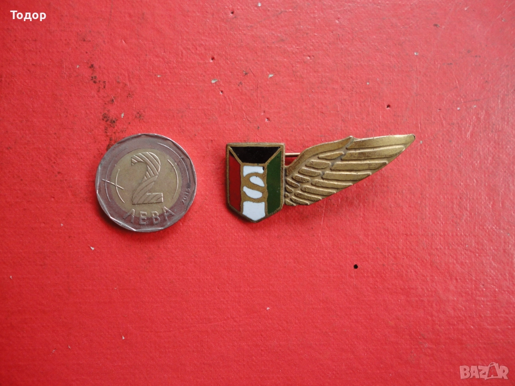 Армейски бронзов знак с емайл , снимка 1