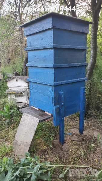 Пчелни семейства. Пчелни кошери. Дадан-Блат с 3 магазина, снимка 1