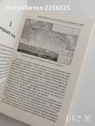 Забранената история на древния свят, снимка 2 - Художествена литература - 53746906