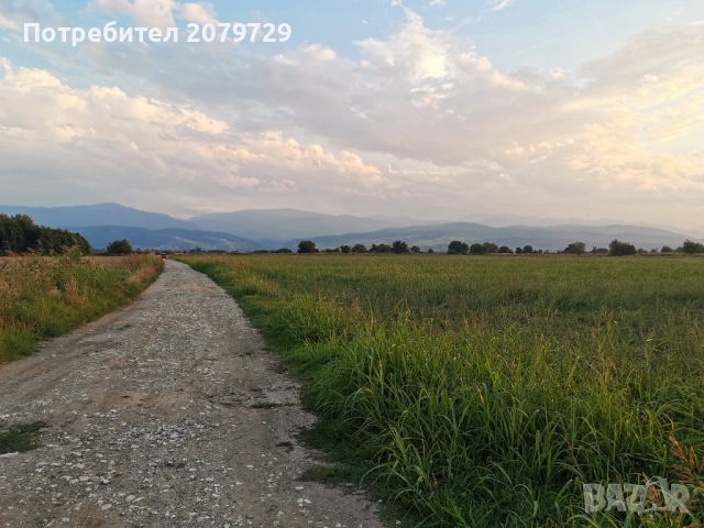 От собственик - Продавам идеално равен имот 10540кв.м., снимка 5 - Земеделска земя - 52165926