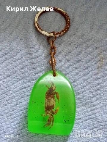 Ключодържател хербарий Рак много красив интересен модел 31428, снимка 4 - Други - 51119389