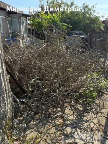 Услуги професионална дробилка и самосвал , снимка 3 - Други почистващи услуги - 51017863