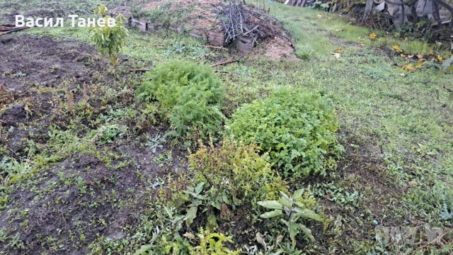 къща в Селци , снимка 11 - Къщи - 53261452