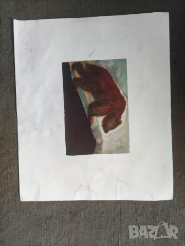 Продавам две стари рисунки на Ви. Вичев