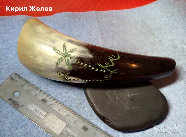 Стар БИВОЛСКИ РОГ РЪЧНО ГРАВИРАН с ПАЛМИ За КОЛЕКЦИЯ ДЕКОРАЦИЯ ДОМАШНА УКРАСА 47836, снимка 9 - Колекции - 47971872