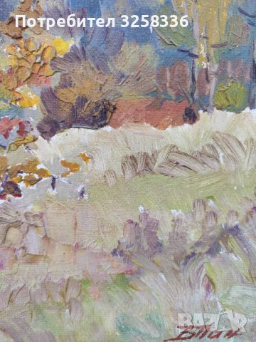 Красота, снимка 4 - Картини - 38713549