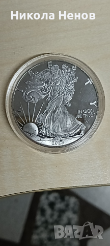 Сребърни монети  9999 1унция 31.1гр., снимка 7 - Нумизматика и бонистика - 44765037