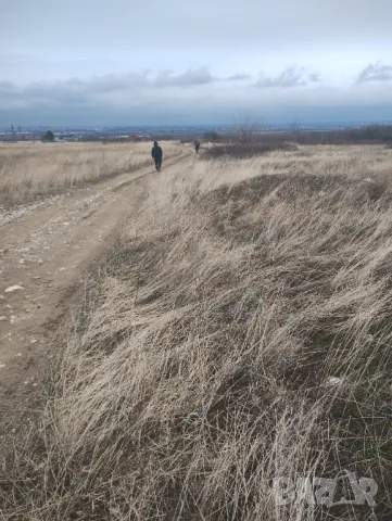 Земя в Пловдивския 2,2декара за строеж , снимка 2 - Земеделска земя - 48645259