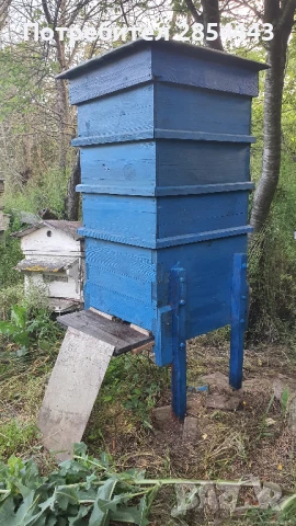 Пчелни семейства. Пчелни кошери. Дадан-Блат с 3 магазина, снимка 1