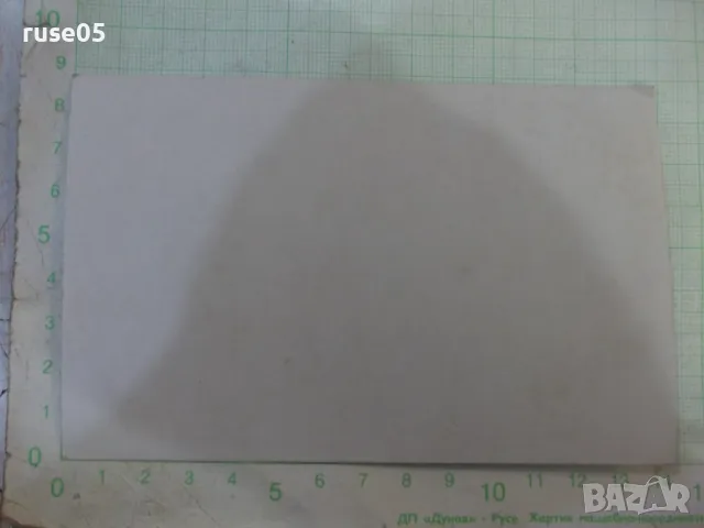 Снимка стара пред дърветата - 1, снимка 2 - Колекции - 47912303