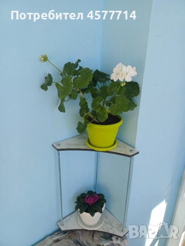 Цветарник, снимка 2 - Градински мебели, декорация  - 53781507