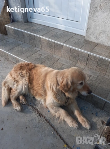 Продавам къща в с.чорбаджийско , снимка 2 - Къщи - 53723089