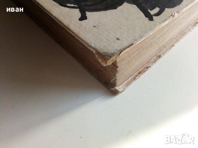 Книга за Китай - Валери Петров - 1958г. , снимка 17 - Енциклопедии, справочници - 40775059