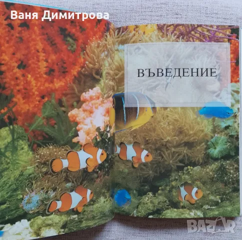 Всичко за аквариума , снимка 4 - Други - 55792822