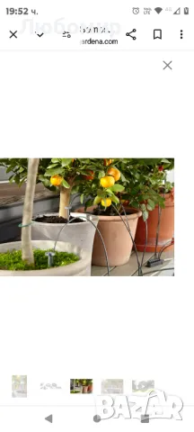 GARDENA Holiday Watering могат да се поливат автоматично до 36 саксийни растения., снимка 4 - Градински цветя и растения - 47550378