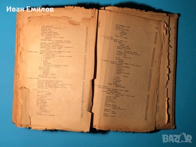 Книга на Домакинята / Христо Василев, снимка 16 - Специализирана литература - 53635546