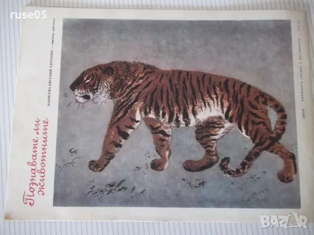 Списание "Славейче - книжка 5 - 1967 г." - 16 стр., снимка 7 - Списания и комикси - 47649402