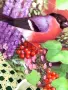 Чинии за стена Coalport England Градински посетители, снимка 16