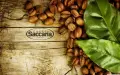 🌿 ЗЕЛЕНИЯТ ЛУКС НА ИТАЛИЯ — CAFFÈ SACCARIA ORGANIC BIO 1882, снимка 6