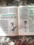 Списание Наука и техника, списание Природата в нашия дом, списание Работничка, снимка 5