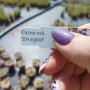 Карекс Евърголд, Carex oshimensis "Evergold", студоустойчива трева!!, снимка 6