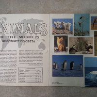 Албум стикери - Животните по света -Animals of the world 1989 from Panini, снимка 5 - Други - 38717419