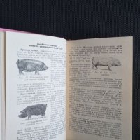 Справочник по свиневъдство , снимка 2 - Специализирана литература - 40820518