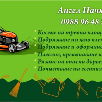 Градинарски услуги, област Пловдив!!!, снимка 1 - Други оферти за работа - 44776969