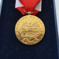 Френски сребърен позлатен медал, снимка 6 - Антикварни и старинни предмети - 36192127