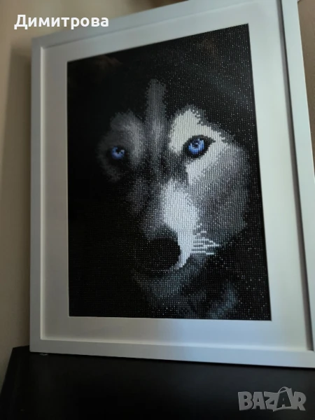 Диамантен гоблен Хъски , снимка 1