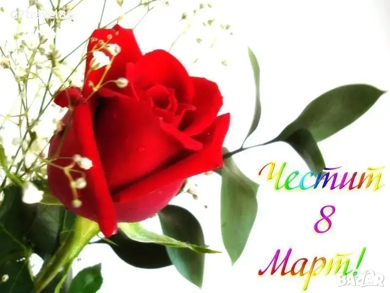 8–ми Март в гр. Ниш - двудневна, снимка 1