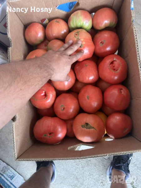 Розова магия , снимка 1