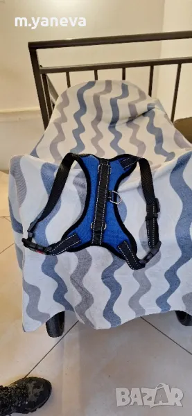 нагръдник-каишка за куче, снимка 1