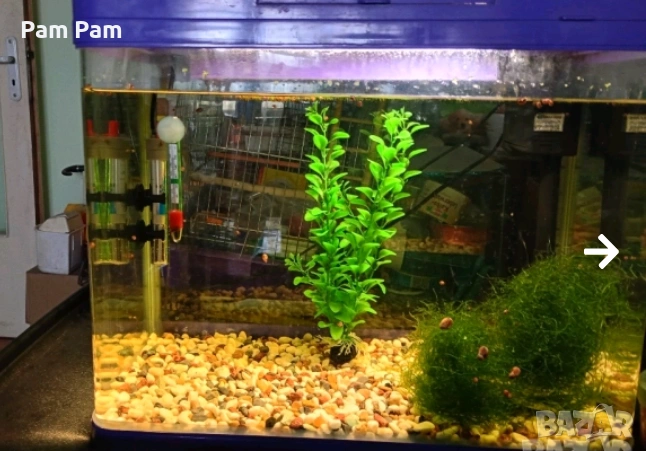 Аквариуми, снимка 1