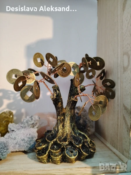 Дървото на парите, много изгодно , снимка 1