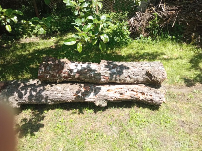 Дървен материал - круша, снимка 1