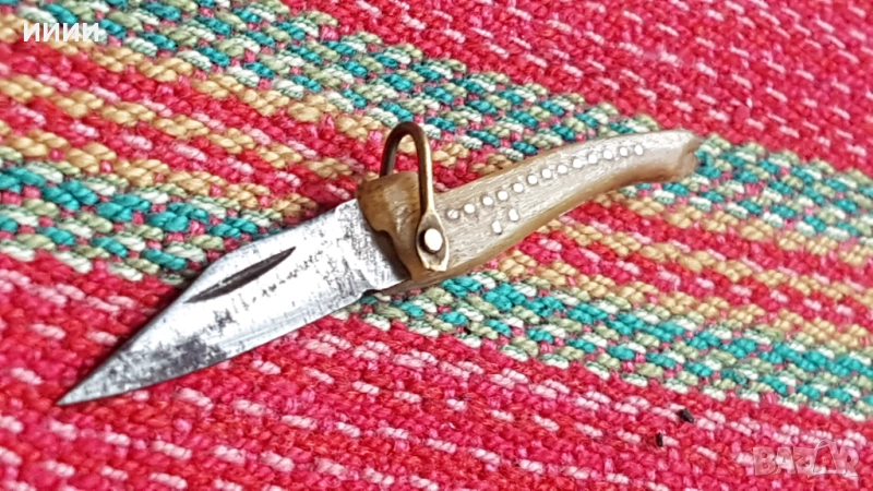 Ножка мини сойка, снимка 1