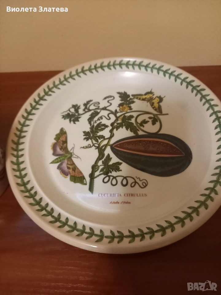 THE BOTANIC GARDEN, снимка 1