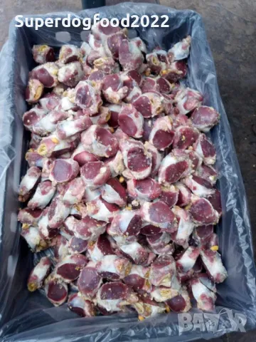 Различни видове храни за домашни любимци