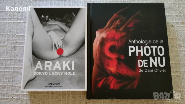 Книги албуми еротична фотография , снимка 3 - Изкуство, музика, кино и фотография - 55851797