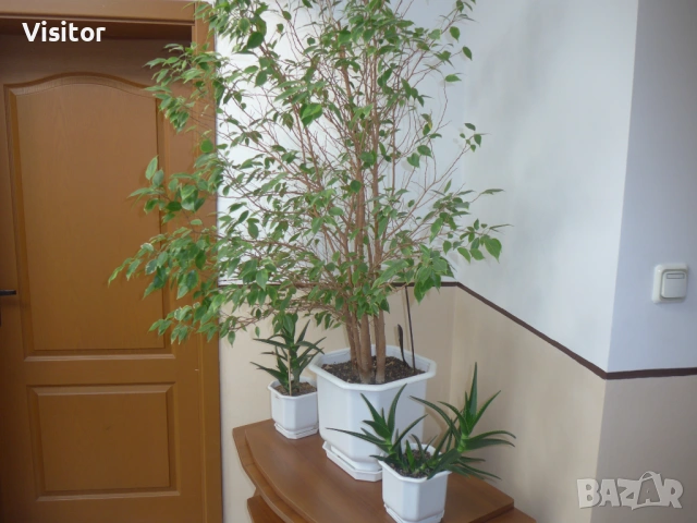 Panasonic Lumix LF1 , снимка 18 - Фотоапарати - 53672507