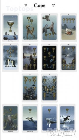 Anima Mundi Tarot - уникални 78 таро карти с кутия и хартиена книжка, снимка 11 - Карти за игра - 34657432