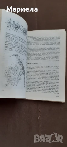 Чудеса на природата , снимка 5 - Енциклопедии, справочници - 50879287