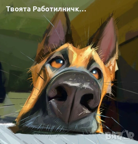 КАРИКАТУРИ НА ДОМАШНИ ЛЮБИМЦИ , снимка 4 - Картини - 53860902