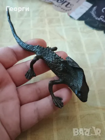 Красив бронзов гущер