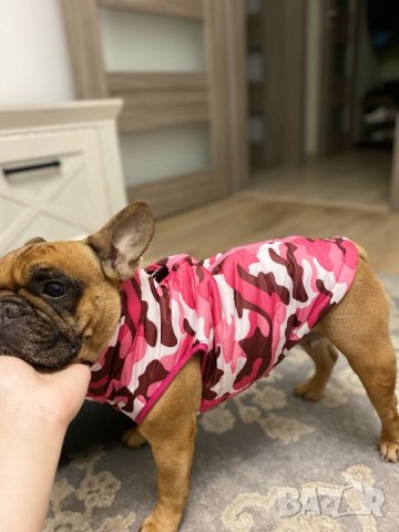 Яке за куче. Зимни дрехи за кучета. Грейки за кучета. Якета за кучета. Кучешки дрехи. Елек за куче, снимка 9 - За кучета - 33348218