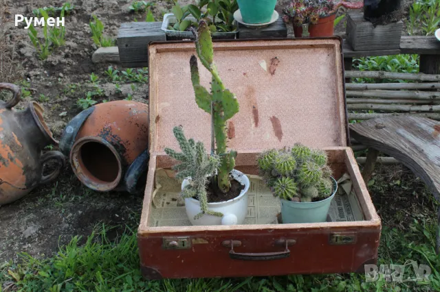 Куфар за декорация